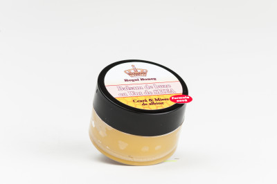 Balsam de buze cu unt de shea